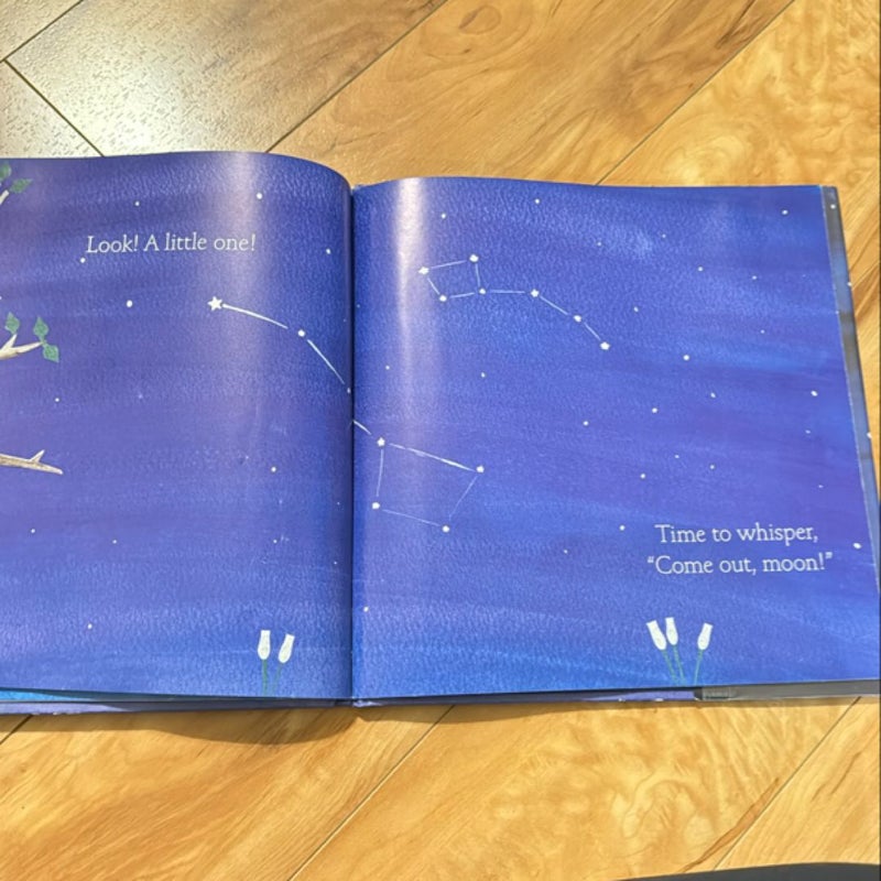 Touch the Brightest Star Board Book