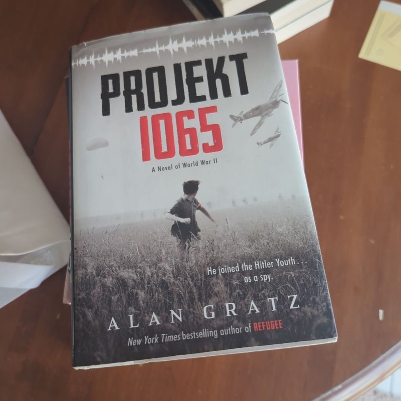 Projekt 1065