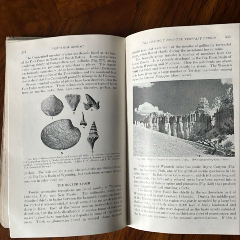 Historical Geology