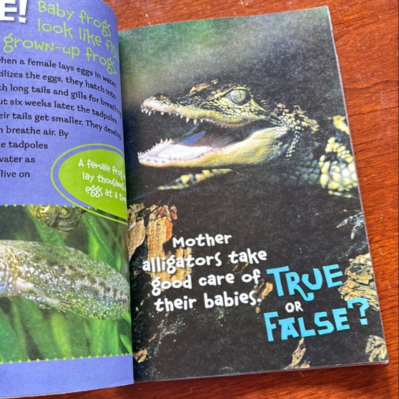 Baby Animals (Scholastic True or False)