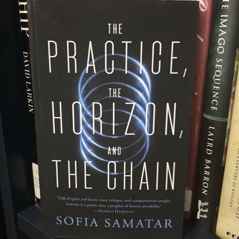 The Practice, the Horizon, and the Chain