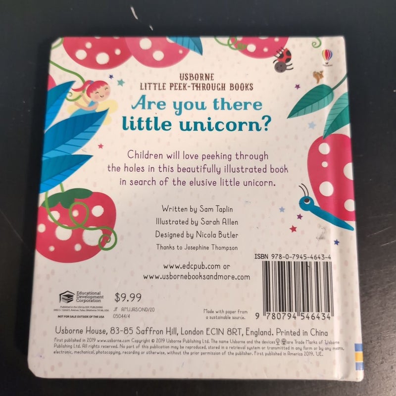 Are You There Little Unicorn?