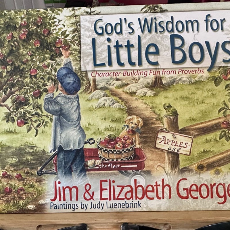 God's Wisdom for Little Boys