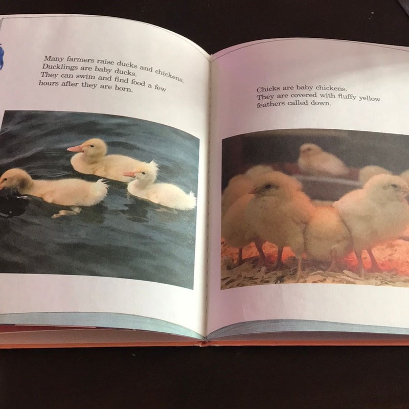 Grover's Book of Cute Little Baby Animals