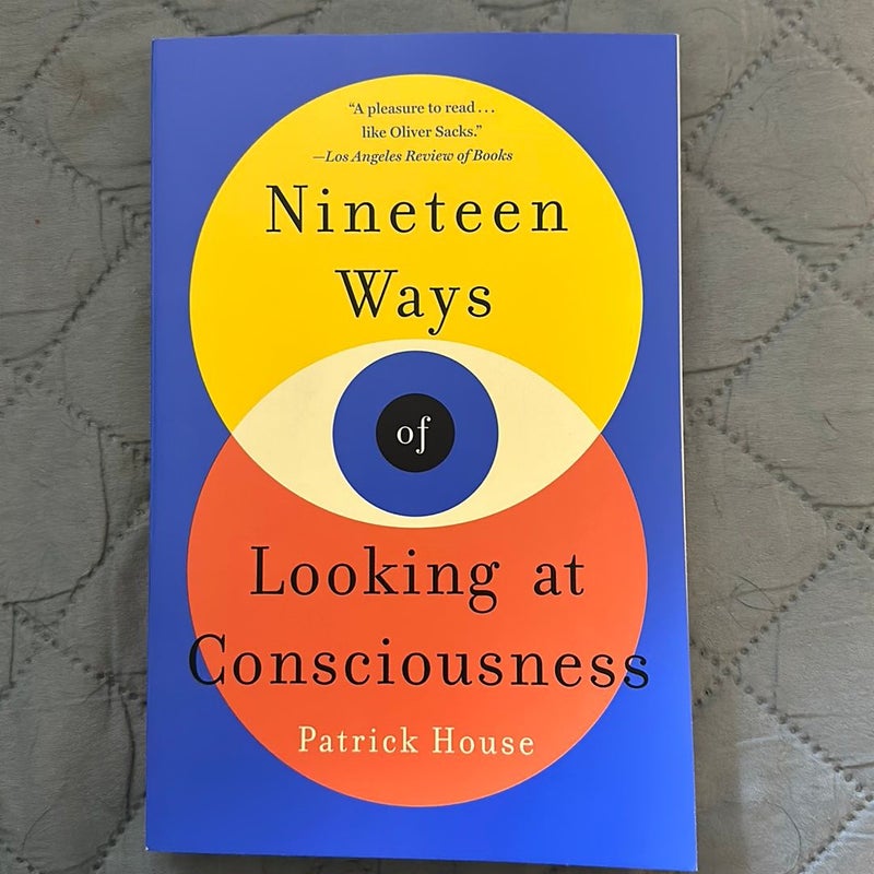 Nineteen Ways of Looking at Consciousness