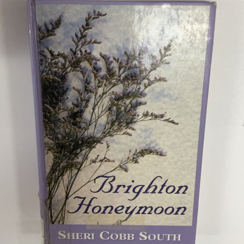 Brighton Honeymoon (LARGE PRINT EDITION ~ Ex-Library)