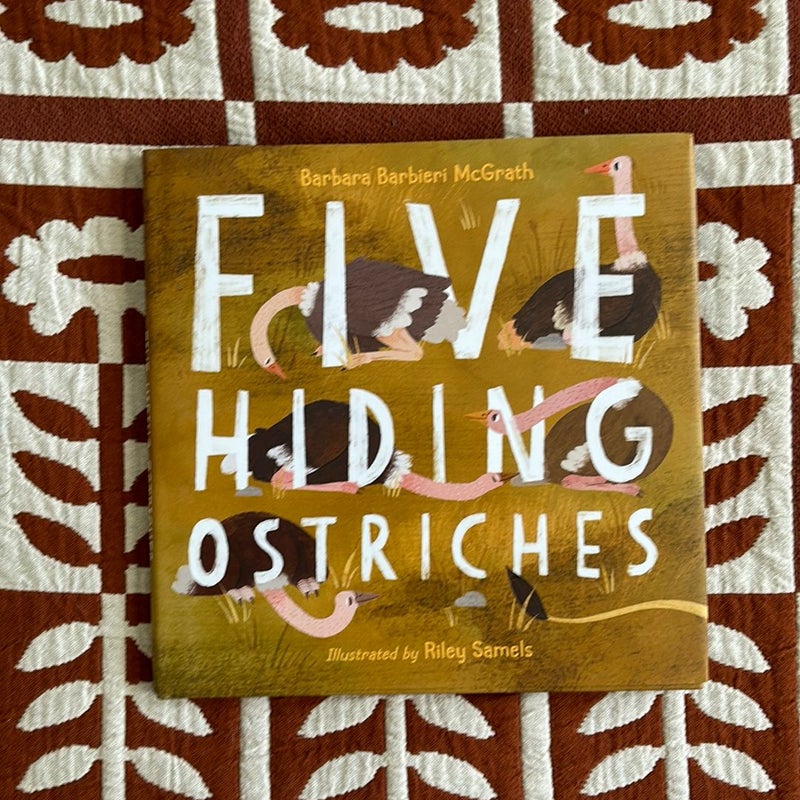 Five Hiding Ostriches