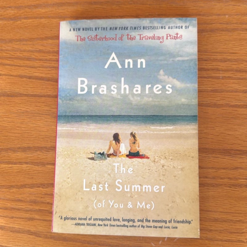 The Last Summer (of You and Me)