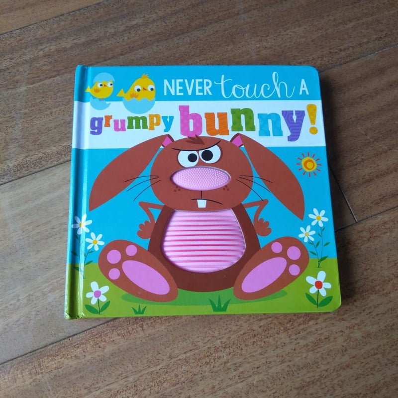 Never Touch a Grumpy Bunny!