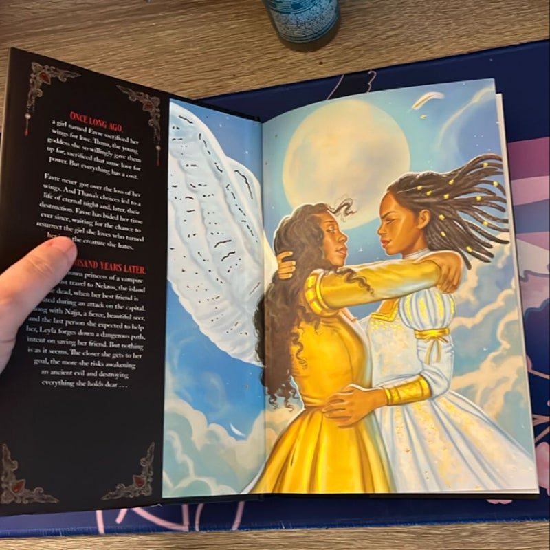 Where Shadows Meet - MARCH 2025 FAIRYLOOT