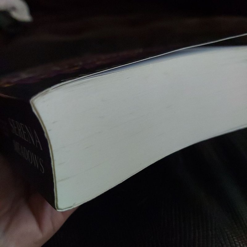 Runaway Dragon Mates: (a Paranormal Shifter Romance Series) READ DESCRIPTION 