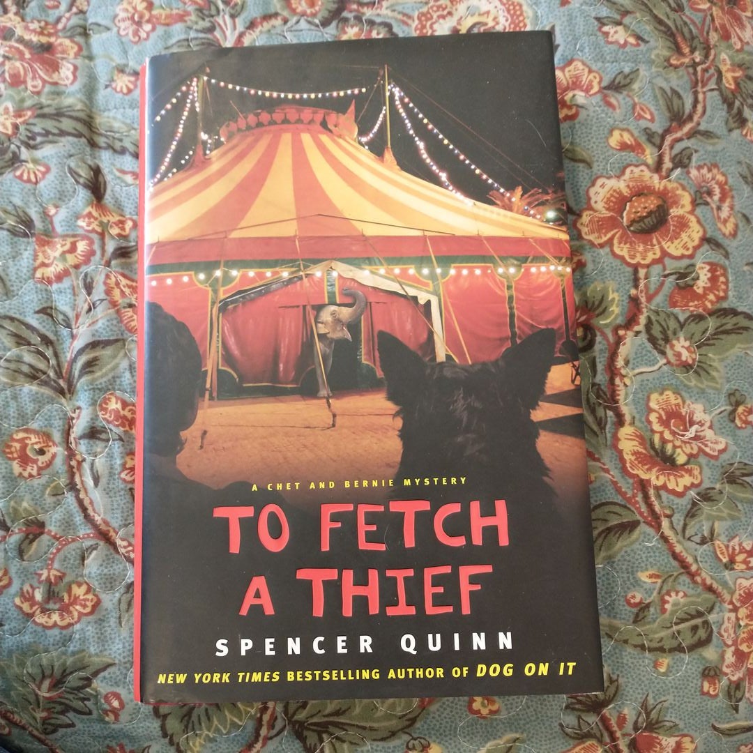 To Fetch a Thief