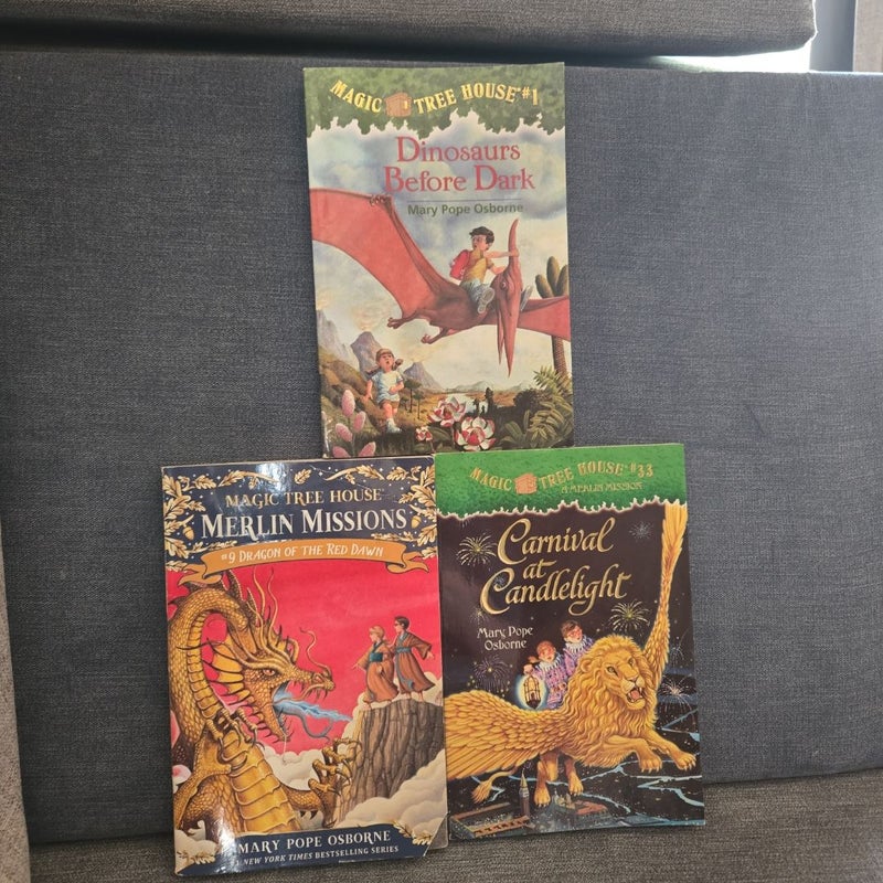 Magic Treehouse bundle 