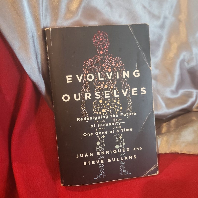 Evolving Ourselves