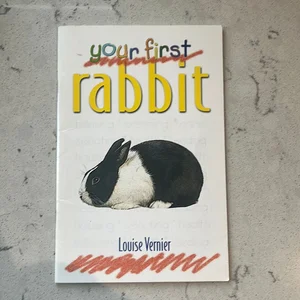 Your First Rabbit