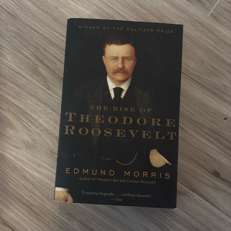 The Rise of Theodore Roosevelt