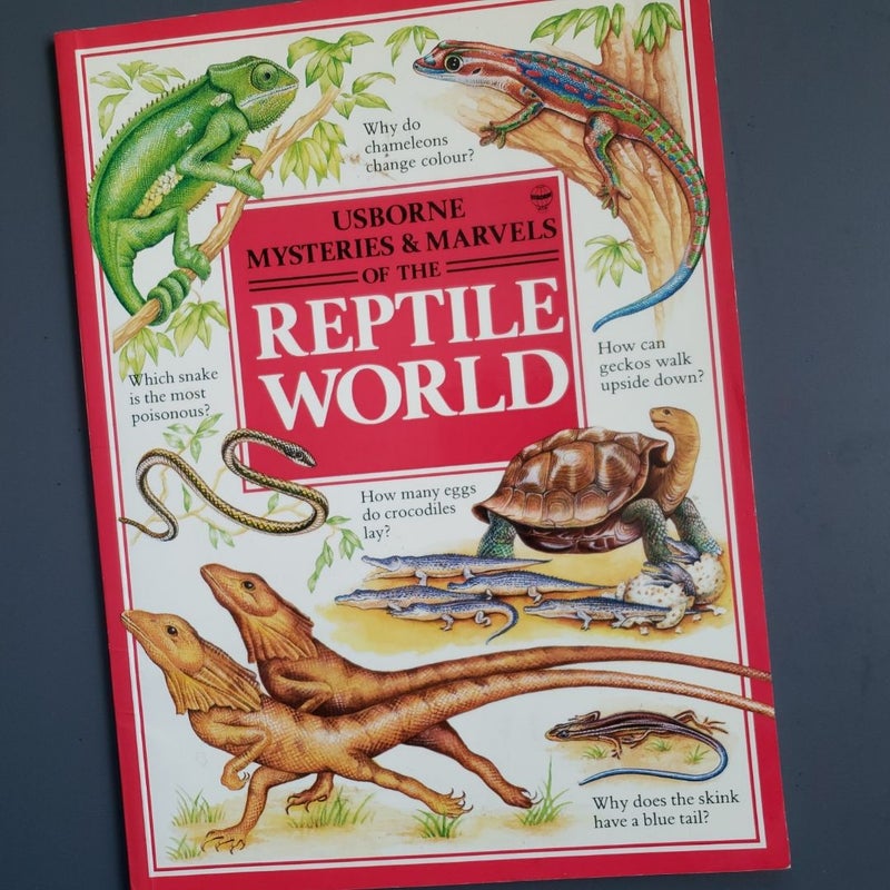 Reptile World