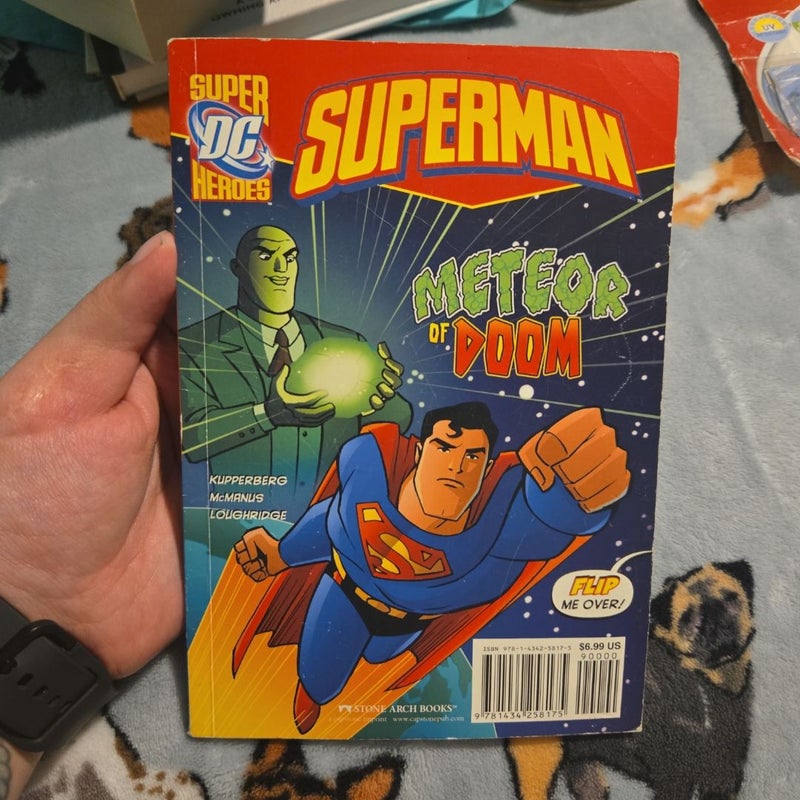 Batman/ Superman book