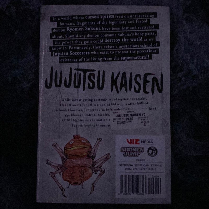 Jujutsu Kaisen, Vol. 4 by Gege Akutami, Paperback