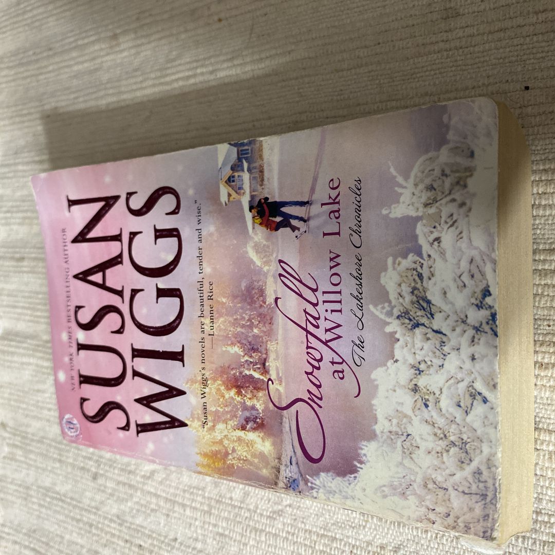 Snowfall at Willow Lake