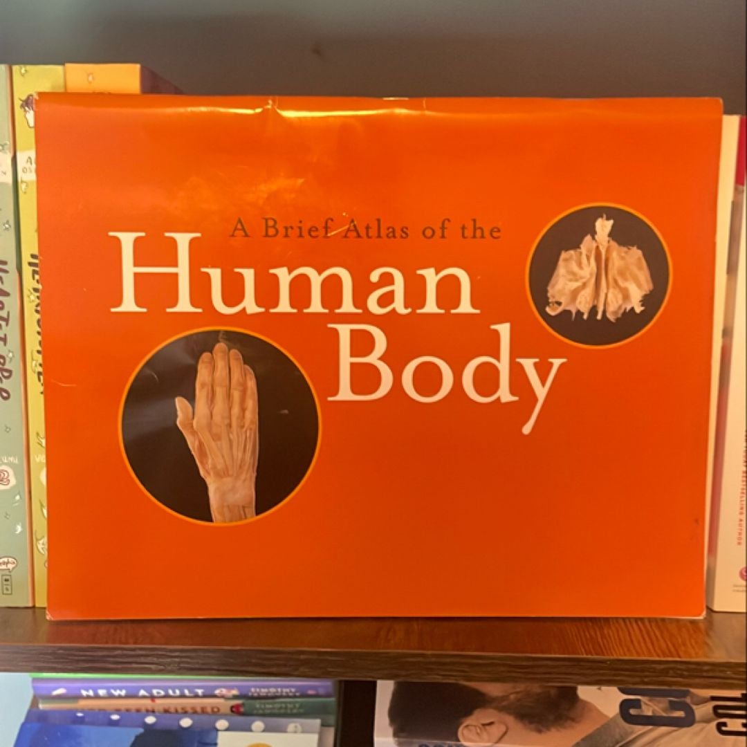 Human Anatomy and Physiology