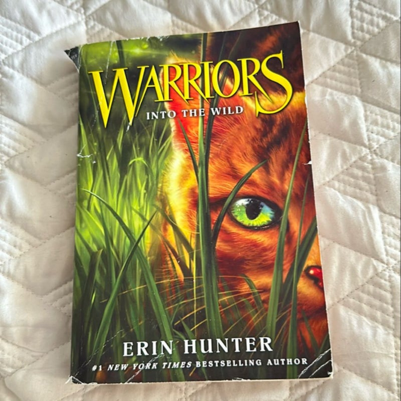 Warriors #1: into the Wild