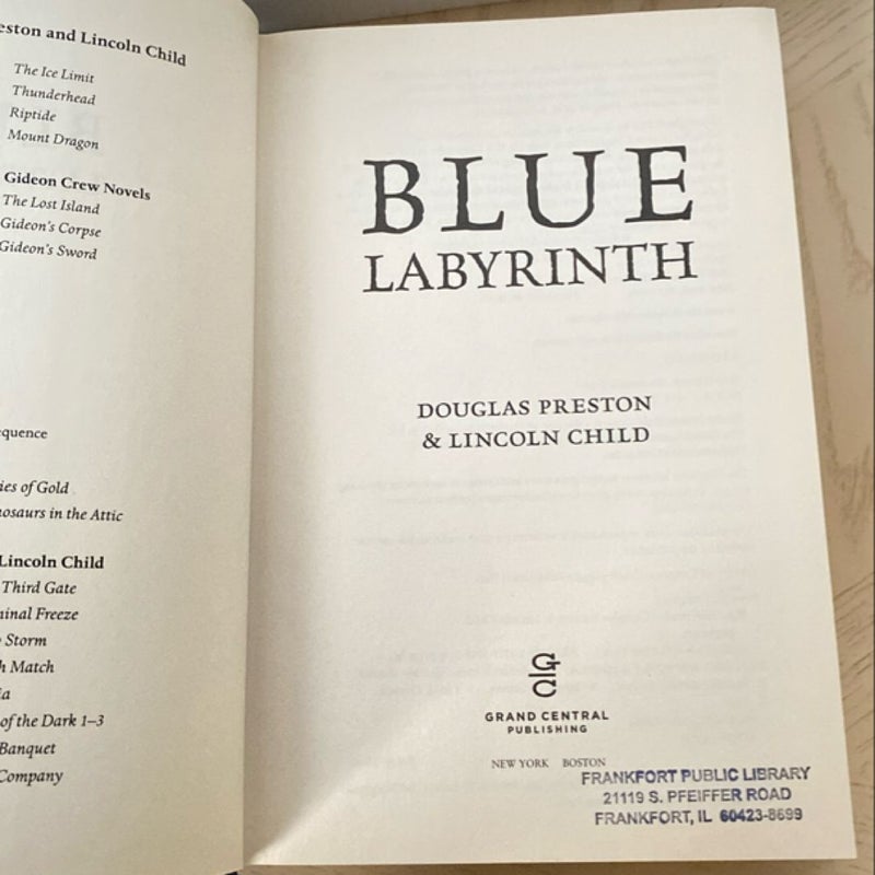 Blue Labyrinth - Hardcover First Edition 