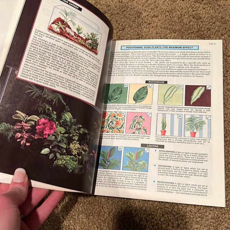 The House Plant Expert