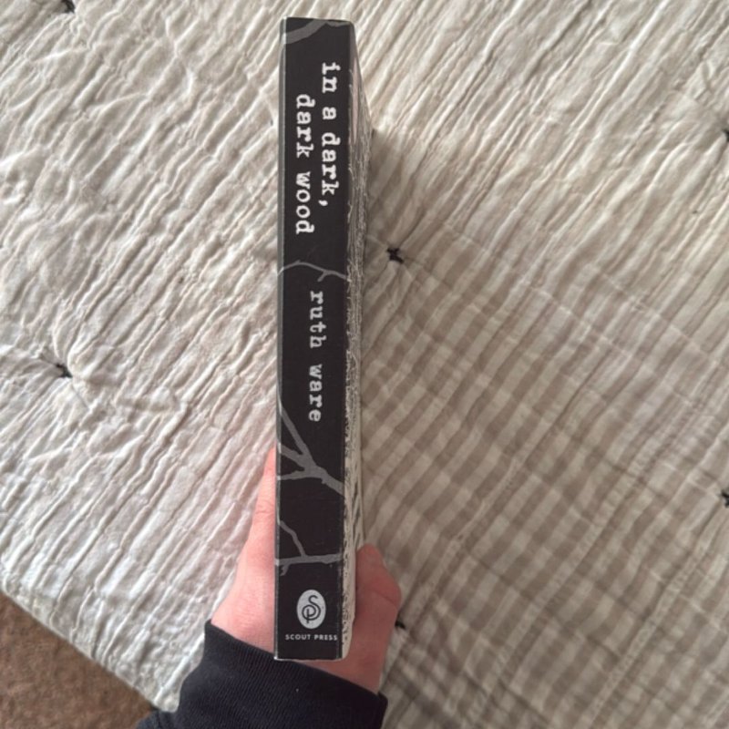 In a Dark, Dark Wood