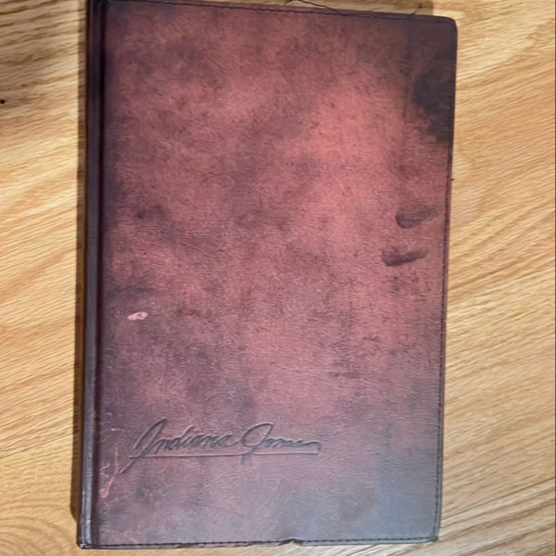 The Lost Journal of Indiana Jones