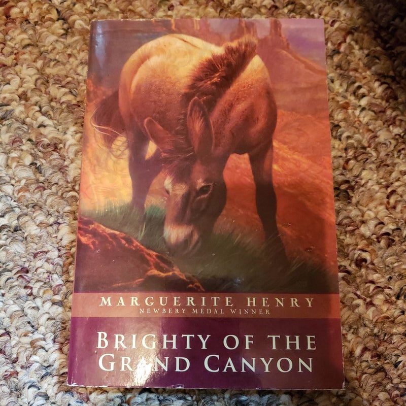 Brighty of the Grand Canyon