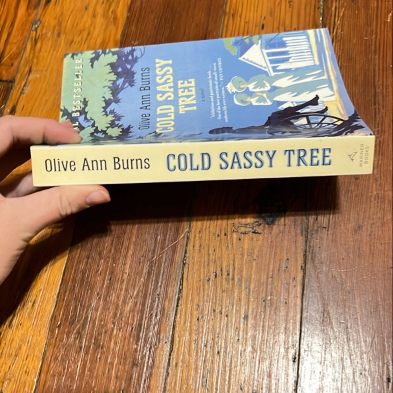 Cold Sassy Tree