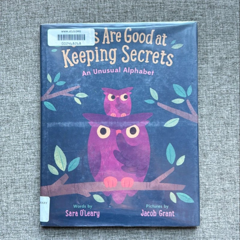 Owls Are Good at Keeping Secrets