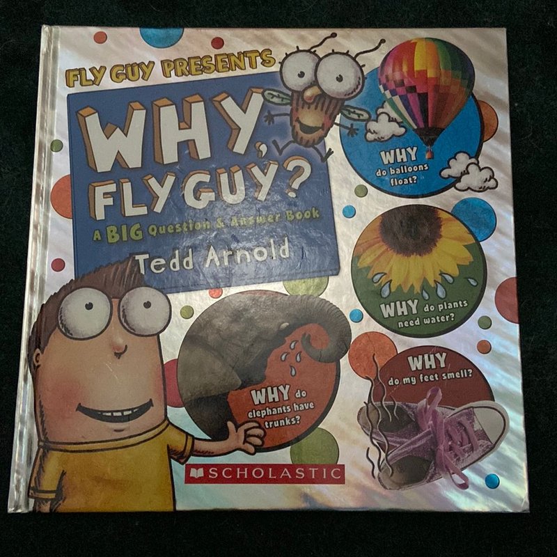 Why, Fly Guy?