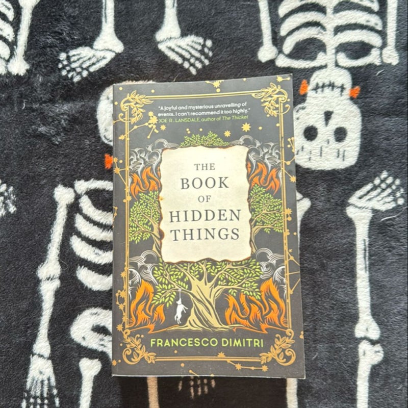 The Book of Hidden Things