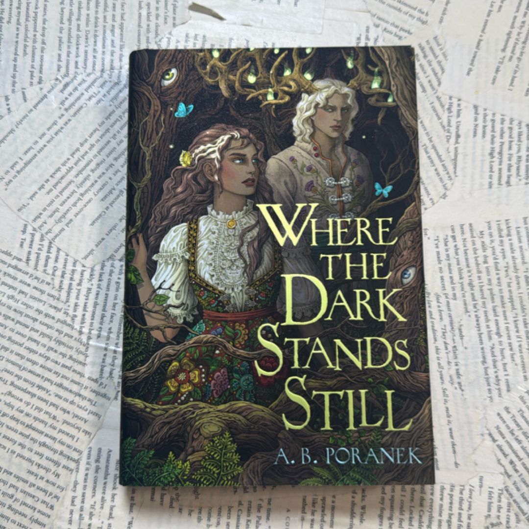 Where the Dark Stands Still