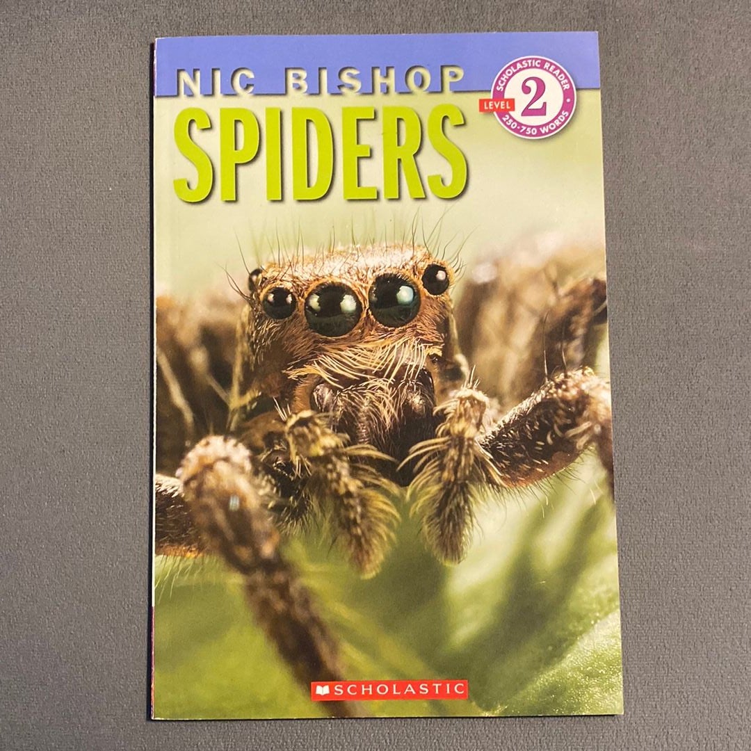 NIC Bishop - Spiders