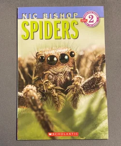 NIC Bishop - Spiders