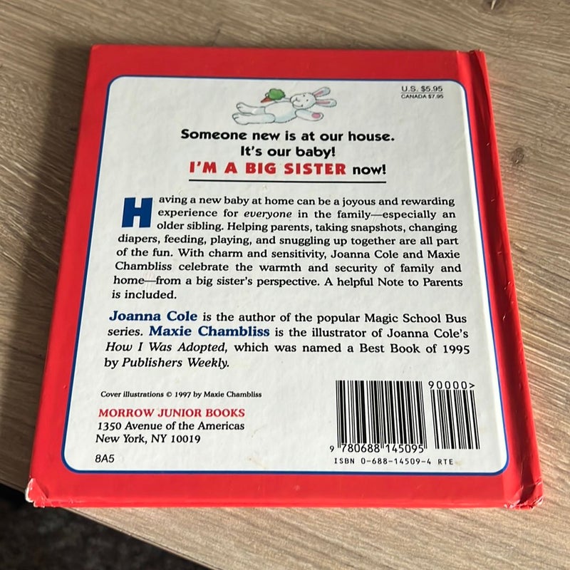 I'm a Big Sister