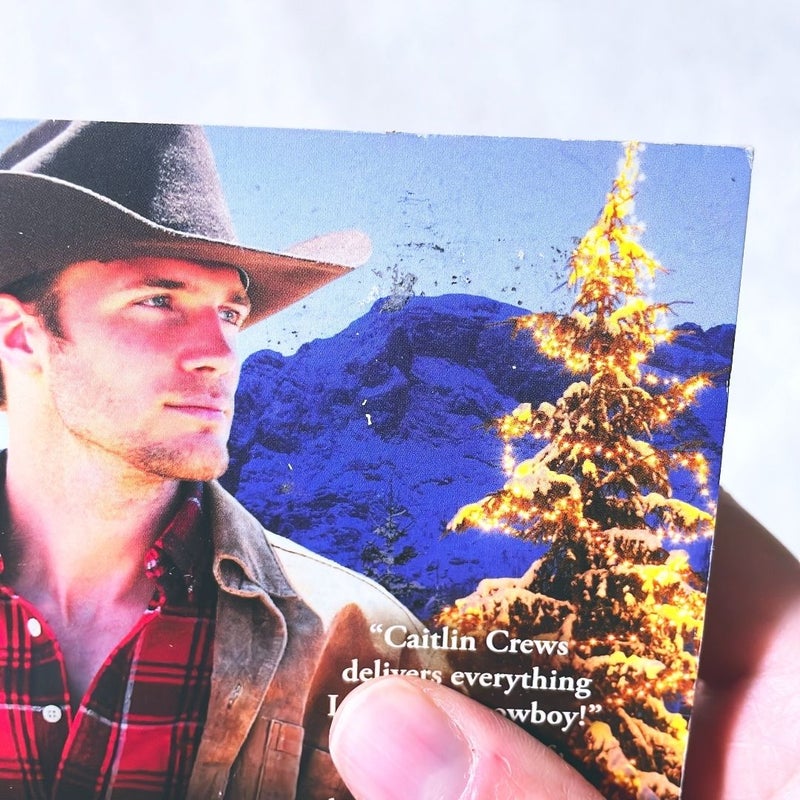 A True Cowboy Christmas