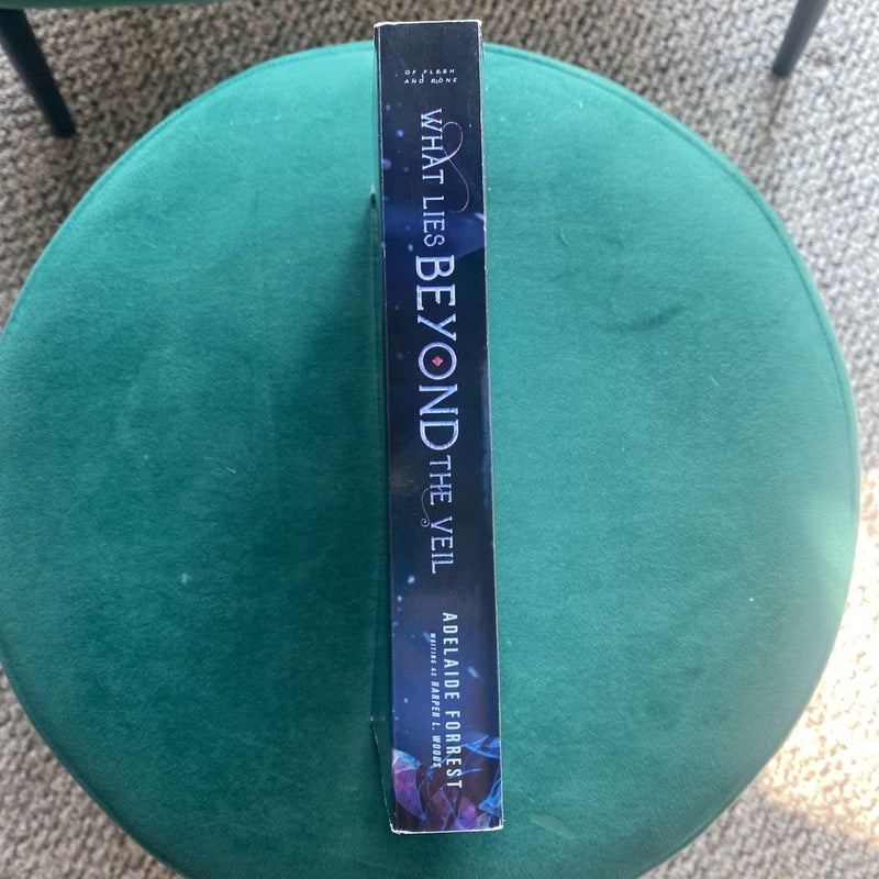What Lies Beyond the Veil by Harper L Woods, Paperback | Pangobooks