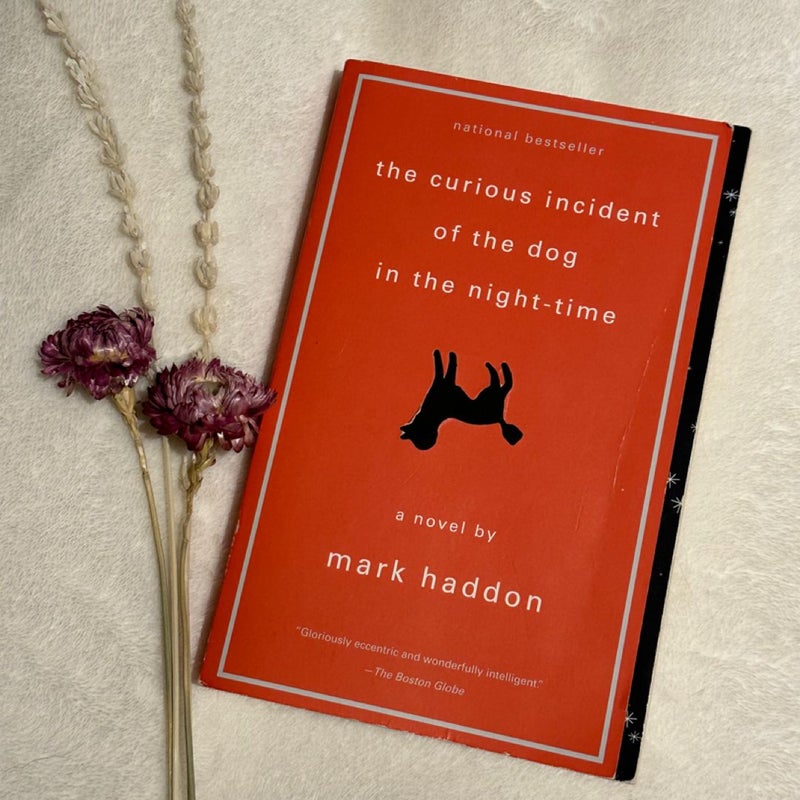 The Curious Incident of the Dog in the Night-Time