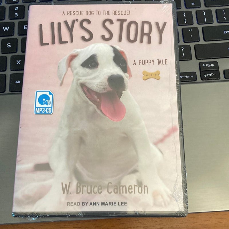 Lily's Story Audiobook