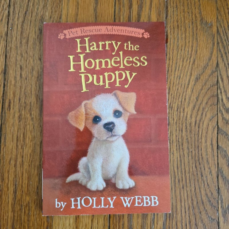 Harry the Homeless Puppy