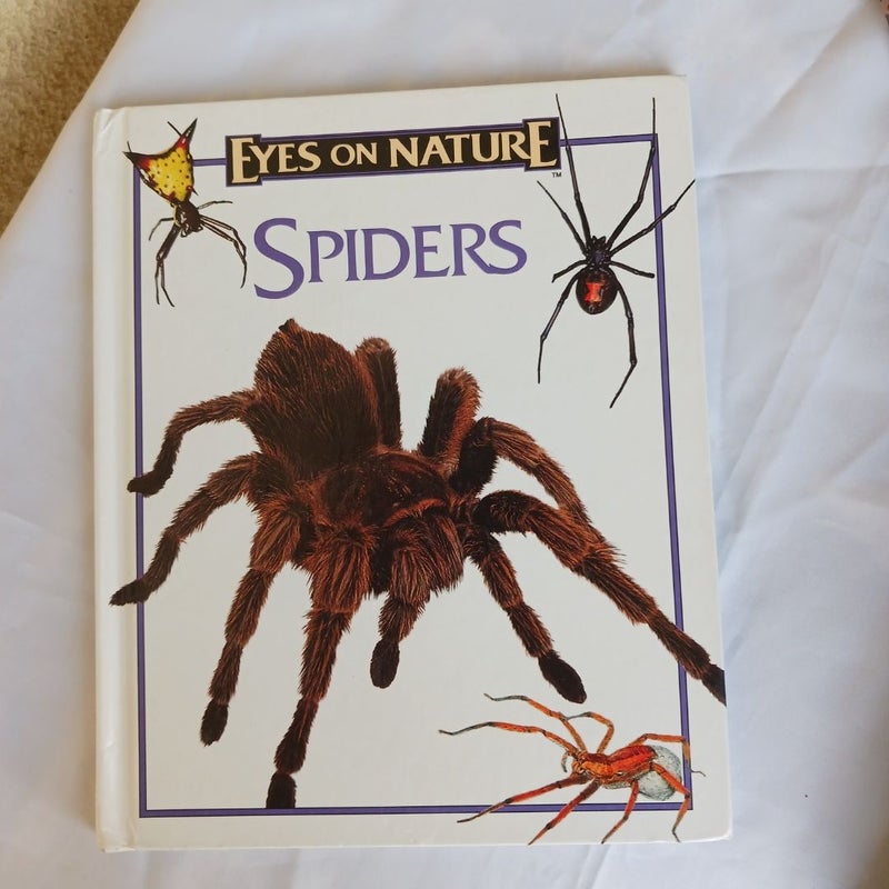 Spiders