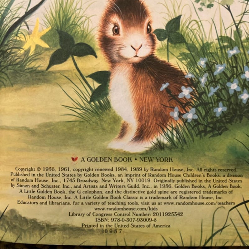 Home for a Bunny