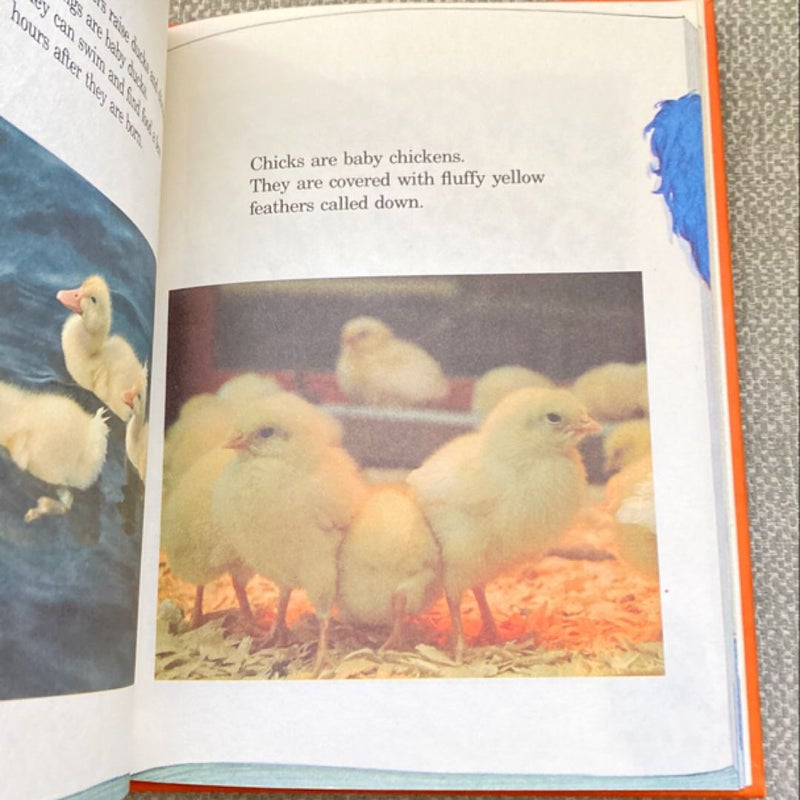 Grover's Book of Cute Little Baby Animals