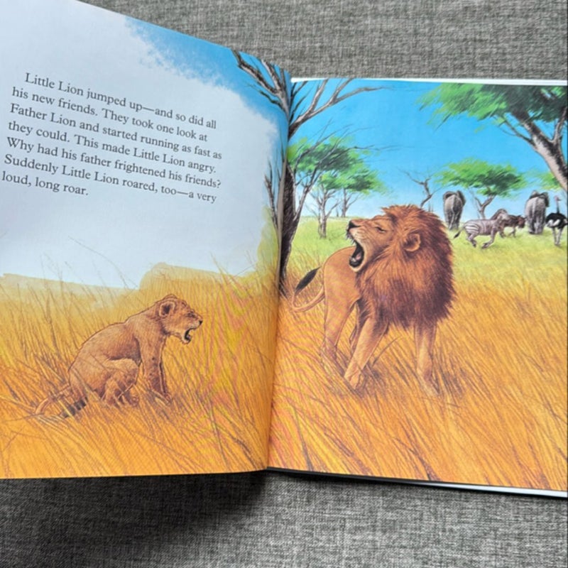 Gentle Little Lion