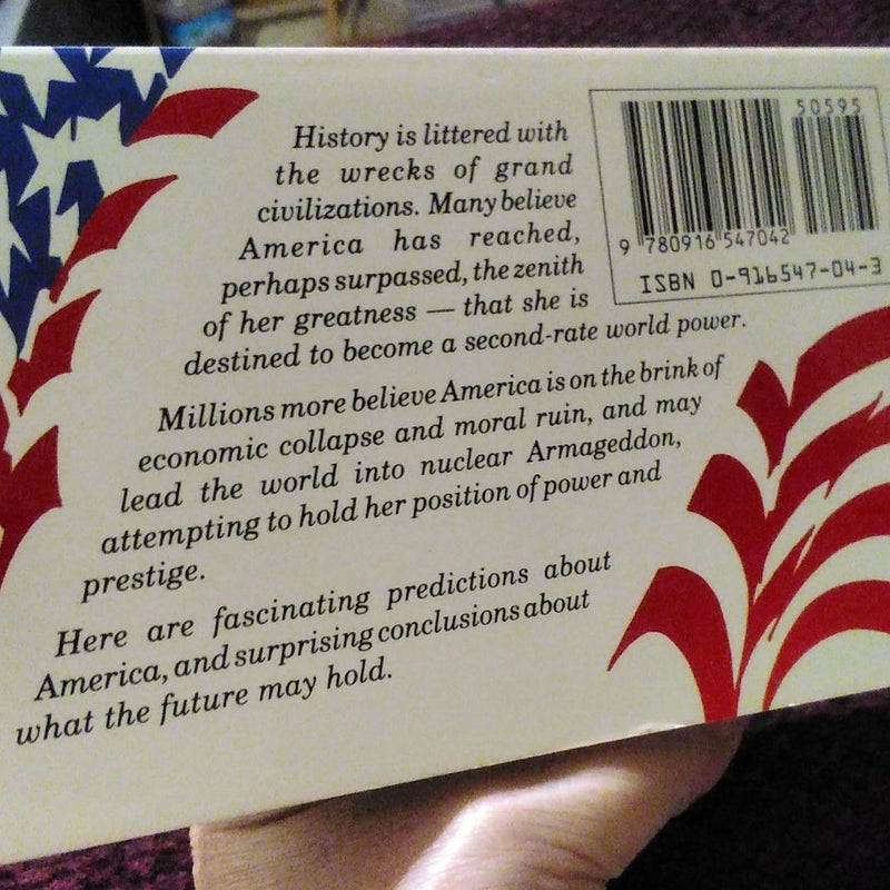 will america survive book review