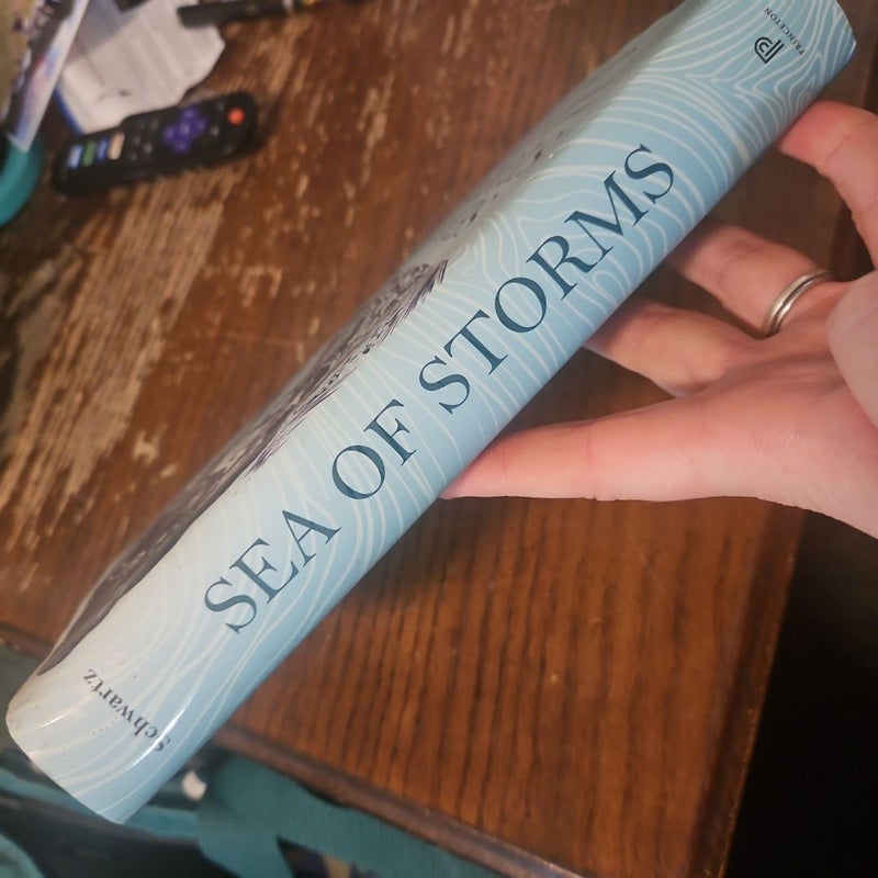 Sea of Storms